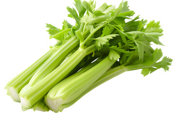 Fresh celery isolated png on a transparent background