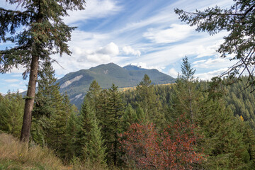 Forest and mountain view landscape