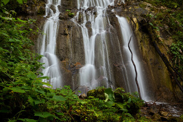 Fototapeta premium Nature’s tranquility at its finest Pampa Hermosa offers an escape into pristine beauty, where lush forests and serene landscapes create the perfect retreat. A hidden gem in the heart of the Peru. 