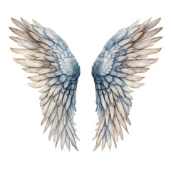 Fototapeta premium Pair of Elegant, Pale Grey and Beige Angelic Wings
