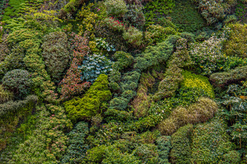 Green background nature wall vertical garden at interior and exterior decoration home or office for...