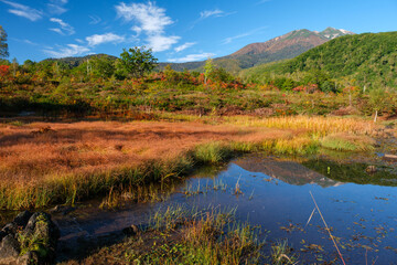 一ノ瀬園地の紅葉