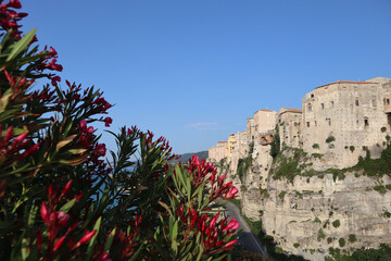 Picturesque view of the old town of Tropea against the blue sky and blooming oleander
