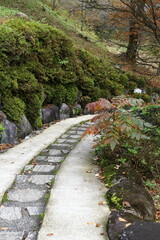 岐阜県郡上市の階段と苔むす石垣