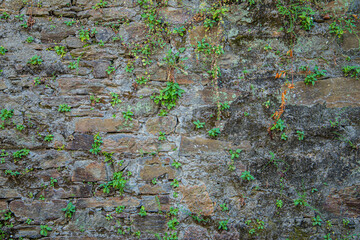 Details of old stone wall with moss with strong texture