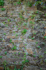 Details of old stone wall with moss with strong texture