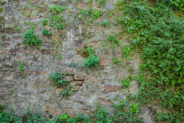 Details of old stone wall with moss with strong texture