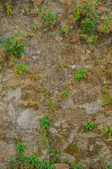 Details of old stone wall with moss with strong texture