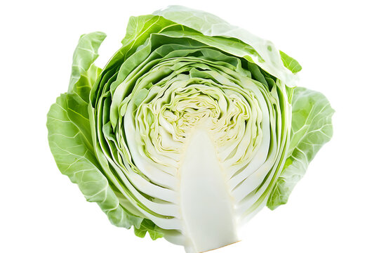 Slice cabbage isolated png on a transparent background