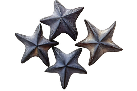 Water Caltrops, Trapa natans isolated on a white background