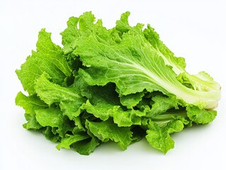 A bunch of loose lettuce leaves, spread out neatly to show their texture and freshness