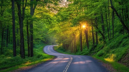 Obraz premium Serene Landscape of a Winding Road Through Lush Green Trees with Soft Sunlight Peeking Through the Leaves in a Peaceful Natural Setting