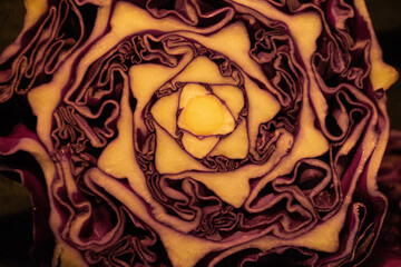 Recorte em frontal de repolho roxo 