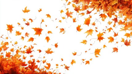 PNG Autumn Cutouts leaves backgrounds autumn maple.