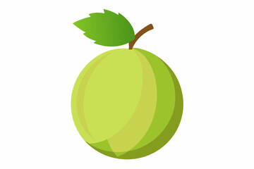 Delicious amla white background vector art illustration