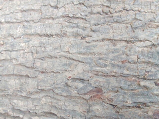 Capturing the unique and intricate grain textures of wood, each piece tells a story of nature&rsquo;s artistry