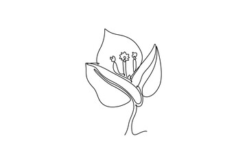 Single one line drawing beauty fresh bougainville for home wall decor art. Printable decorative poster thorny vine flower for greeting card ornament. Continuous line design graphic vector illustration