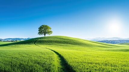 Fototapeta premium A panoramic view of a clear blue sky, ideal for widescreen displays and presentations, evoking a feeling of freedom and vastness.