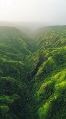 Fototapeta premium Waterfall flowing through lush green valley in kauai, hawaii