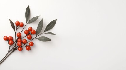 Fototapeta premium A branch with vibrant red berries and green leaves set against a clean, white background, creating a fresh and natural aesthetic.