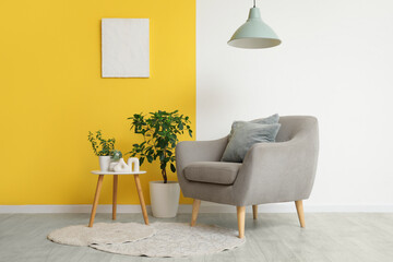 Armchair, coffee table and houseplant near colorful wall in interior of living room