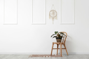 Houseplant on chair near white wall in room