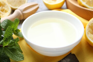 Fresh lemon juice in bowl, fruits, mint and squeezer on table, closeup