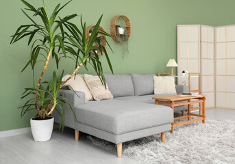 Cozy sofa, houseplant and coffee table in interior of living room