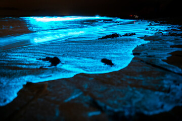 A captivating close-up of bioluminescent waves illuminating the shoreline in a serene glow, creating a magical nighttime scene.