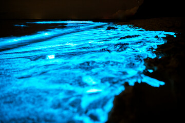 A captivating close-up of bioluminescent waves illuminating the shoreline in a serene glow, creating a magical nighttime scene.