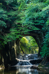春の濃溝の滝、亀岩の洞窟
