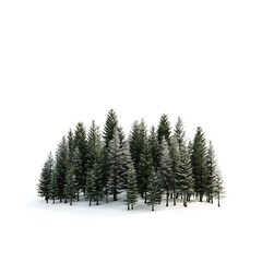 Farm Forest isolated on white background, close up