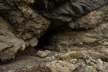 Cluttered Entrance To Dark Sea Cave On Meyers Beach
