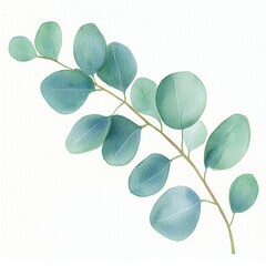 Obraz premium Eucalyptus Branch with Round Leaves Isolated on White Background, Capturing the Delicate Beauty and Natural Elegance of Eucalyptus Foliage in a Minimalist Style