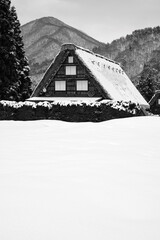 Shirakawago in winter