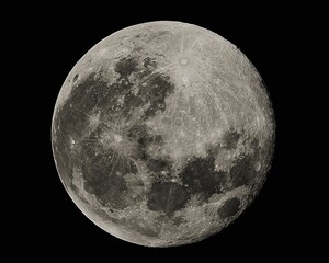 Fototapeta premium full moon in the night