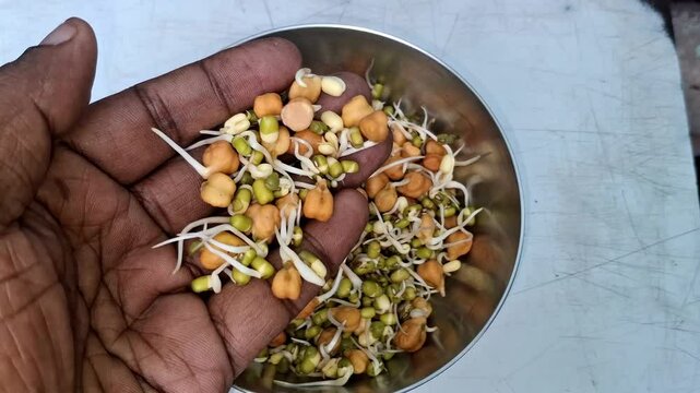 Sprouted grams and mung beans are nutrient-rich, crunchy legumes high in protein, fiber, vitamins, and antioxidants, ideal for healthy salads.