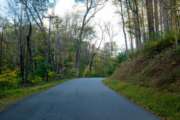 Winding country road surrounded by autumn foliage in a wooded area, capturing the serene beauty of nature’s transition in early fall