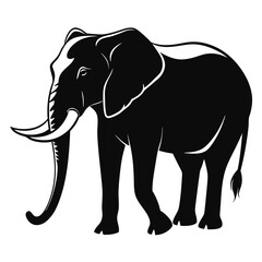 Obraz premium elephant isolated on white