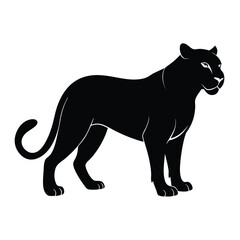 Fototapeta premium Panther Illustration