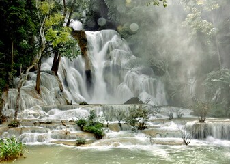 waterfall in the forest
