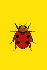 ladybug on a yellow background