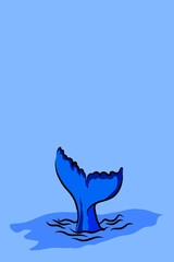 dolphin in the water
