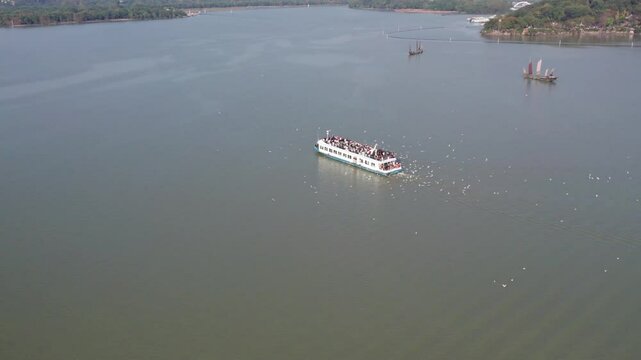 Drone view of large group of black-headed gull flying around Taihu lake sightseeing ship in sunny day, every year seagull will return to Taihu lake for winter, bird migration, 4k real time footage.