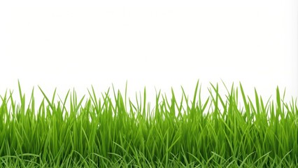 Fototapeta premium Vibrant Green Grass Blades Isolated on White Background, Perfect for Springtime Designs and Natural Themes