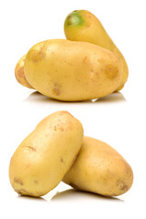New potato isolated on white background 