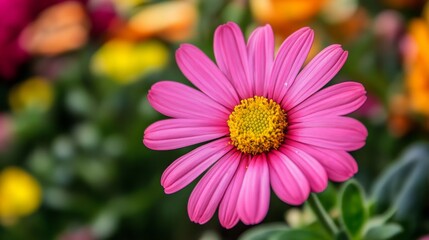 Obraz premium A vibrant pink flower with a yellow center, surrounded by colorful blooms in a lush garden setting.