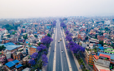 aerial view of the blossom Jacaranda tree in highway Lalitpur, Nepal. 