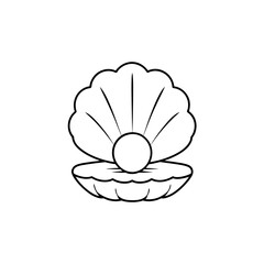 illustration of a seashell
