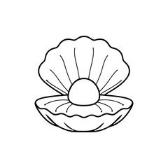 illustration of a seashell